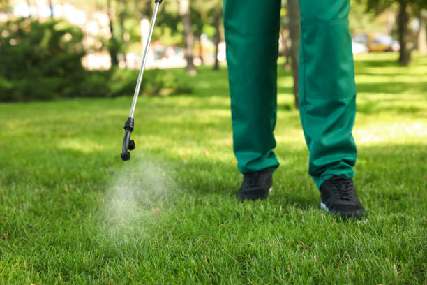 Best Cockroach Control Services  in Grissom Af, IN